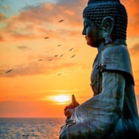 Meet your Posher, Glenda - Picture 1 of 1